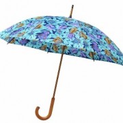 Umbrella-001
