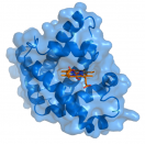 Integrating CapNMR into Drug Discovery