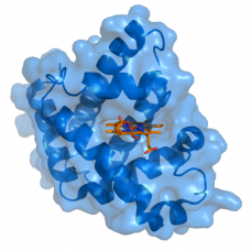 Integrating CapNMR into Drug Discovery