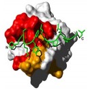 Fragment-based Discovery