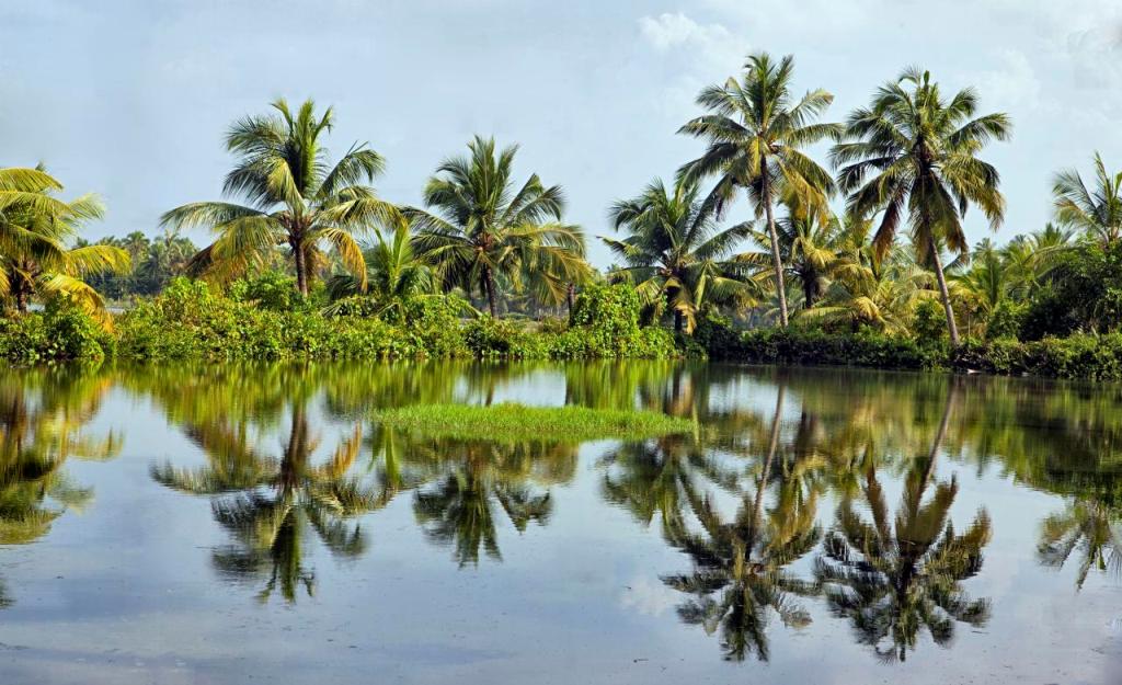 Tropical Reflection